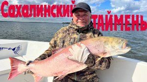 Сахалинский ТАЙМЕНЬ