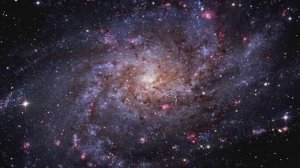 К Звёздам!