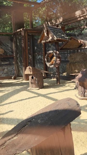 Парк "Лого" в Ростове 5 ⭐️⭐️⭐️⭐️⭐️ Посещение обязательно ❗ смотреть онлайн