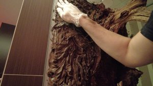 Флорариум с разницей в 3 года