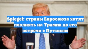 Spiegel: страны Евросоюза хотят повлиять на Трампа до его встречи с Путиным