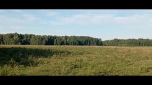 раннее утро