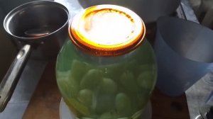 Компот из винограда делаю в домашних условиях