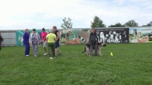 Тест_Дарвин Формула Любви