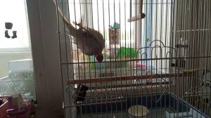 о привет всем