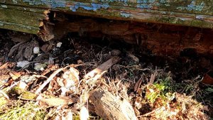 #ЖИЗНЬ В ДЕРЕВНЕ. ДОМ СГНИЛ?! ЧТО ДЕЛАТЬ?