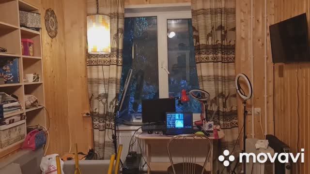 Дачный день