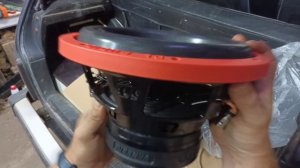 мощный малыш Dl Audio Piranha 10 v.2