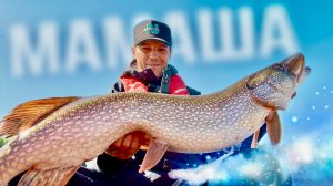 СЕРДЦЕ ПЕРЕСТАЛО БИТЬСЯ! ПОЙМАЛ МАМАШУ! РЫБАЛКА НА КРУПНЫХ ЩУК!