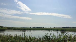 Рыбалка пруд Клинское, Бяково, Навлинский район, Брянская область. 08~10.08.25.