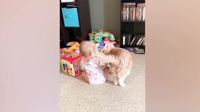Смешные котики 🐈 Домашние животные, подборка смешных животных