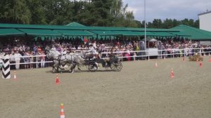 Крылатое сердце России