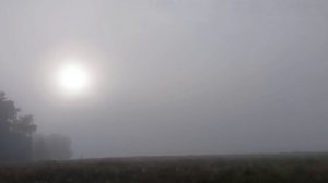 После дождя , на утро туман ,,,,