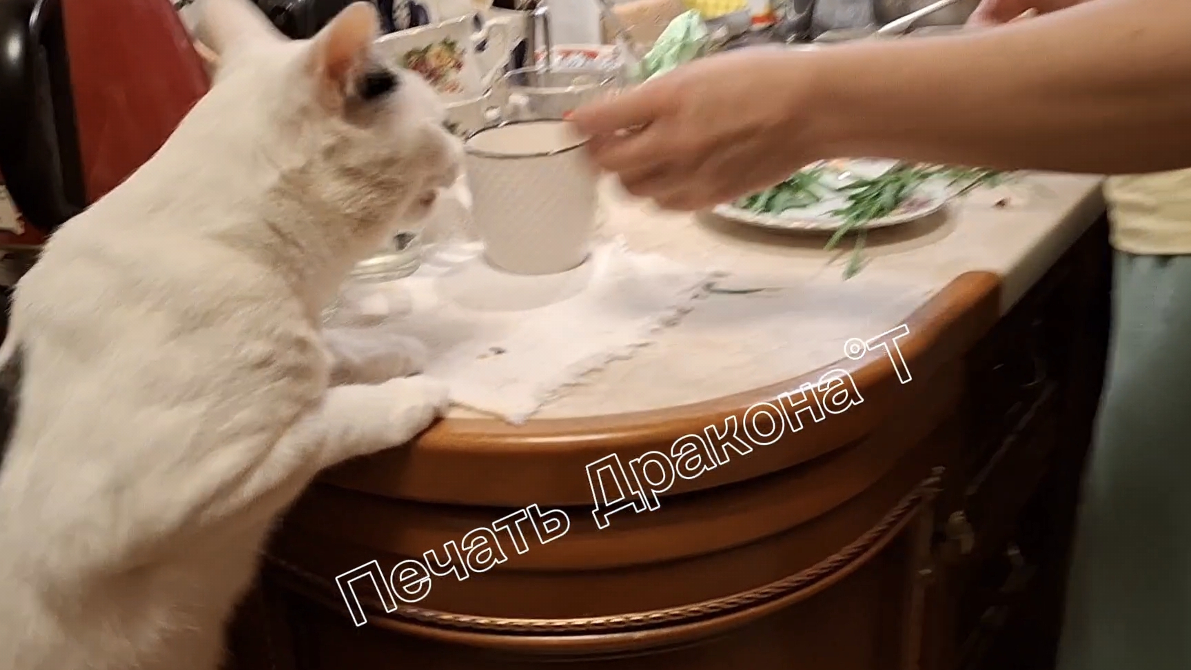 супер завтрак 7 секунд