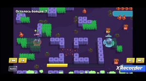 пуш Шелли на 1400 ( смогу ли я???) пуш 1