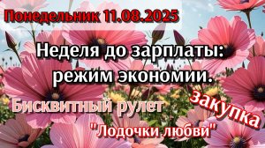 11-08-2025 Неделя до зарплаты: режим  экономии.