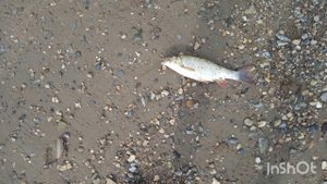 Река Обь, на рыбалке.