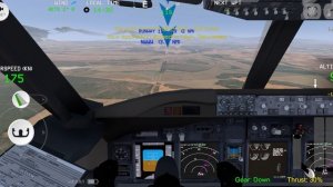 Посадка боинга 737-800