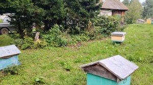Пасека. Снимаем магазины. Медосбор закончен.