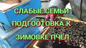 ВРЕМЯ НАРАЩИВАНИЯ,СЛАБЫЕ СЕМЬИ БУДЕМ ОБЬЕДИНЯТЬ.