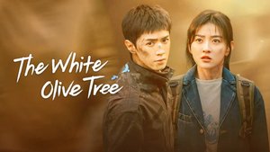 Клип к дораме Белое оливковое дерево / The White Olive Tree / If Wind Had Color - 卓沅 (Zhuo Yuan)2025