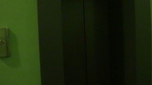 Пассажирский лифт (Посёлок Воскресенское), V=1 м-с, г-п 400 кг (14), музыкальный лифт ЩЛЗ