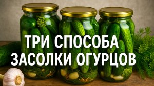 Огурцы на любой вкус: 3 проверенных рецепта в одном видео!