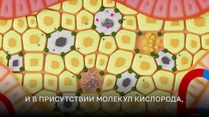 Как работает Фотодинамическая терапия Revixan