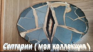 Моя коллекция септарий