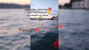 цыганская душевная песня 💔
2025🌿 😔