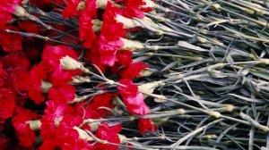 Памятник воинам-приморцам на Синявинских высотах