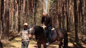 Прогулка по лесу на лошадях