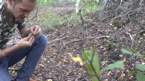 Обмелевшее озеро