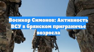 Военкор Симонов: Активность ВСУ в брянском приграничье возросла