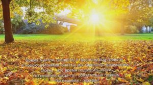 "Осень, снова осень..." Авторская песня, Шинкарева Светлана