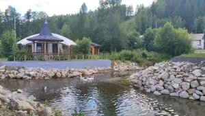 Наши прекрасные гуси принимают водные процедуры