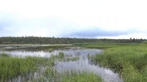 Охота с учеными / Открытие осеннего сезона на водоплавающую дичь 2022г.