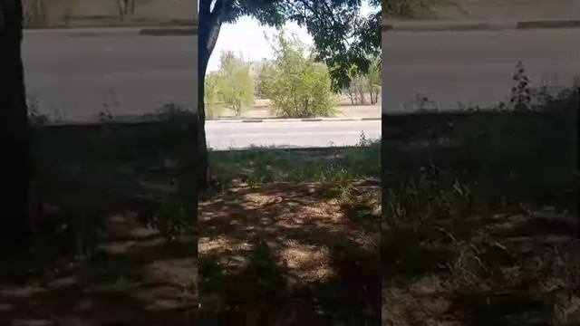 подписывайтесь на канал