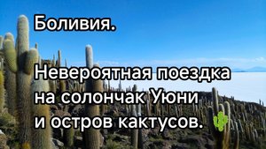Боливия. Невероятный солончак Уюни и остров кактусов.