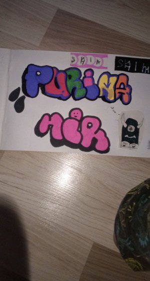 у друга . Выполняем ваши задания.Пытаемся на учить командам собачку.