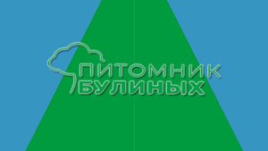 Как правильно сажать плодовые деревья.