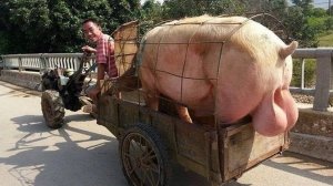 #100 Я РЖАЛ ДО СЛЕЗ 😂 ПОДНИМИ СЕБЕ НАСТРОЕНИЕ😆😆😆ЛУЧШИЕ ЛЮТЫЕ ПРИКОЛЫ / АКАДЕМИЯ ЮМОРА