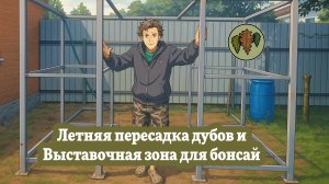 Рискованная пересадка крымских дубов / выставочная зона для бонсай