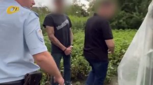 ЗАДЕРЖАН ЖЕЛЕЗНОГОРЕЦ, ВЫРАЩИВАВШИЙ НА СВОЕМ УЧАСТКЕ КОНОПЛЮ