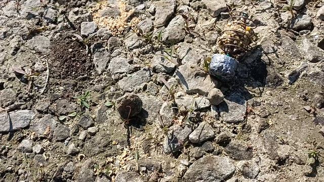 Подлещик на тапок. смотреть онлайн