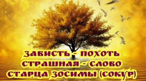 Зависть - это похоть страшная - слово старца Зосимы (Сокур)