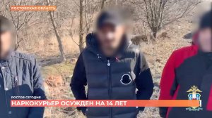 Ростов сегодня: дневной выпуск. 11 августа 2025