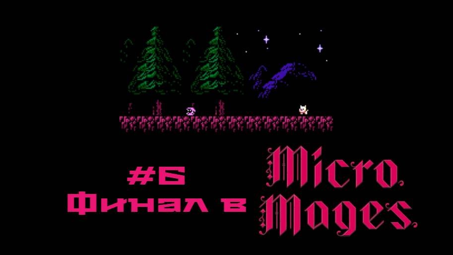 #6 Финал в Micro Mages