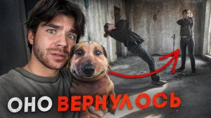 На игле "СОБ@ЧЬЕГО КАЙФА" | Новая волна ЭПИДЕМИИ | Boldurev Stories