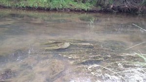 Река Мокрая Мечётка. Волгоград